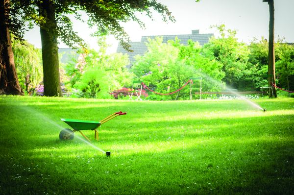 Beispielhafte Gartensituation mit Rasen im Familiengarten