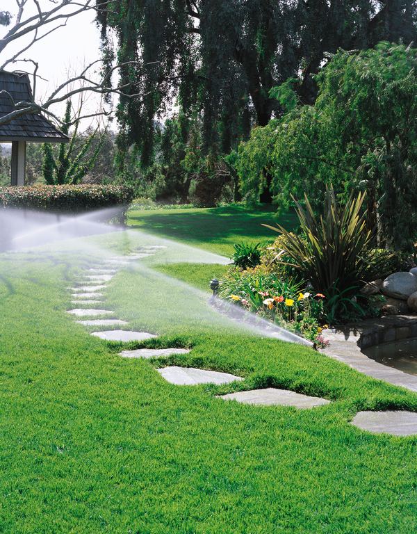 Inspiration: Weg zwischen Beeten im Garten