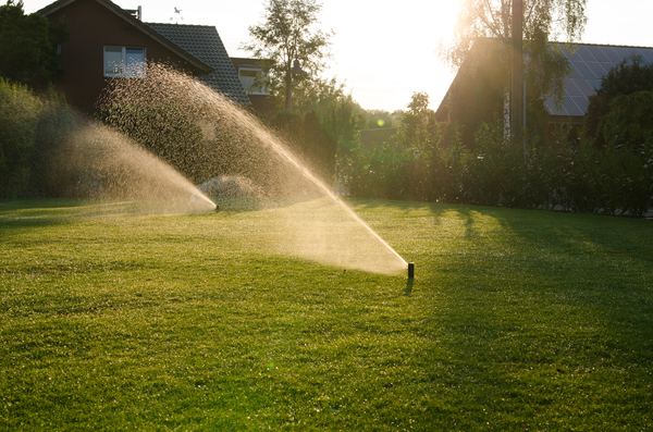 Gepflegte Rasenfläche mit aktiver Bewässerung